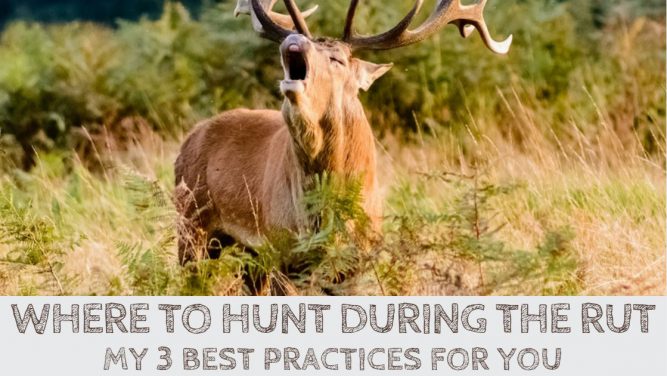 Where to Hunt During the Rut? 3 Pro Tips for You - OutdoorStack