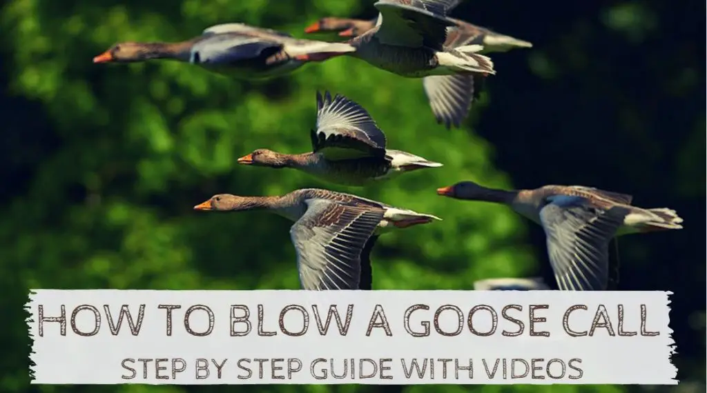 How to Blow a Goose Call