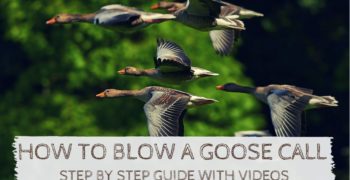 How to Blow a Goose Call – Step by Step Guide and Videos