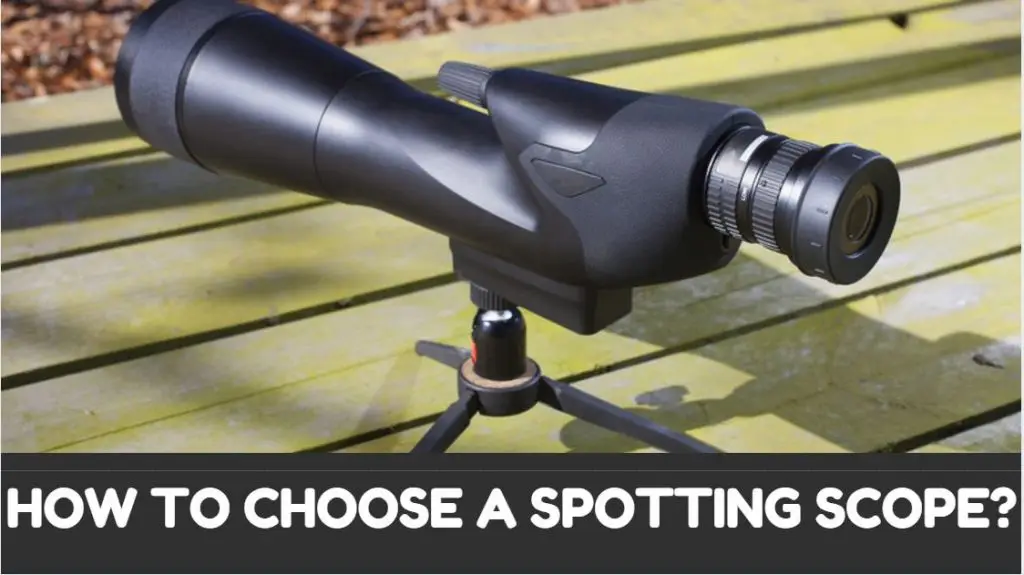 How to Choose a Spotting Scope