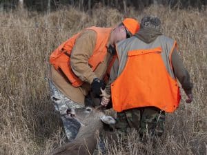 Deer Hunting Tips, Tracking Deer