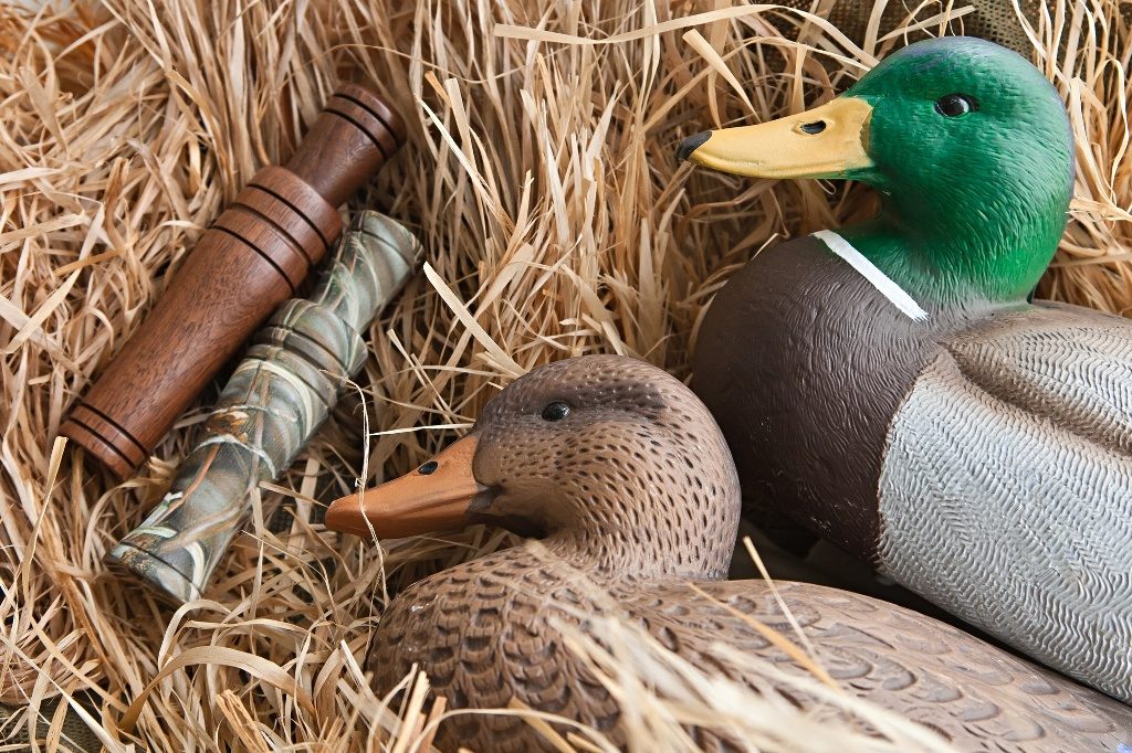Duck Decoys and Calls