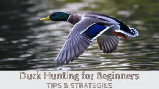 Duck Hunting For Beginners (TIPS & STRATEGIES)