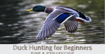 Duck Hunting for Beginners (TIPS & STRATEGIES)