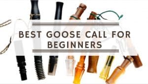 Best Goose Call For Beginners