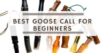 Best Goose Call For Beginners