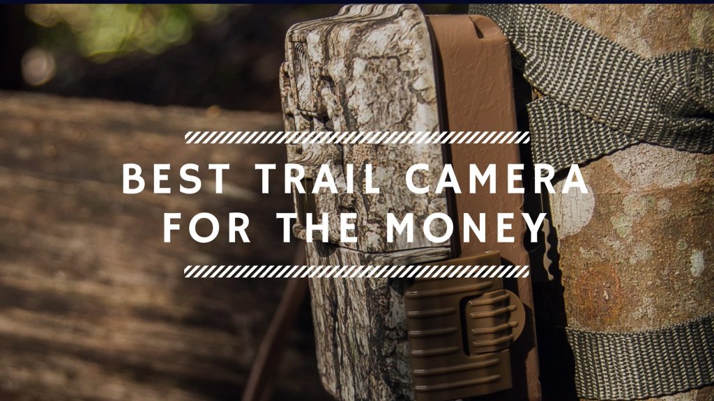 Best Trail Camera For The Money