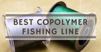 Best Copolymer Fishing Line