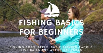 Fishing Basics for Beginners – Learn How to Fish Like a Pro