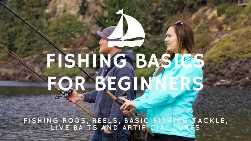 Fishing Basics for Beginners