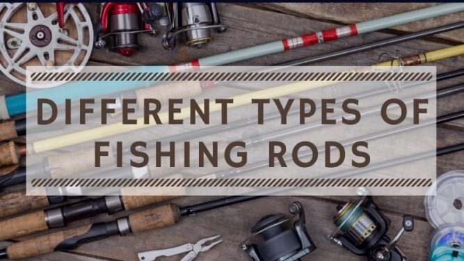 Different Types Of Fishing Rods Explained - OutdoorStack