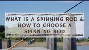 What is a Spinning Rod