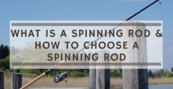 What is a Spinning Rod & How to Choose a Spinning Rod