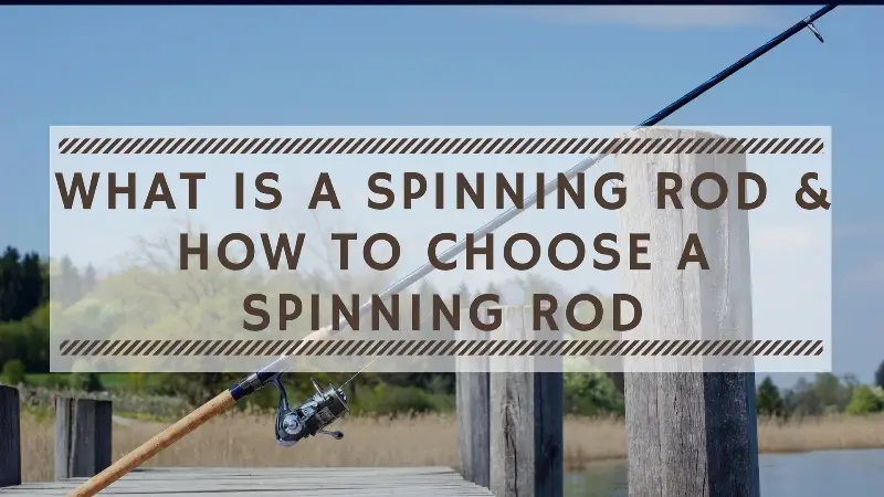 What is a Spinning Rod