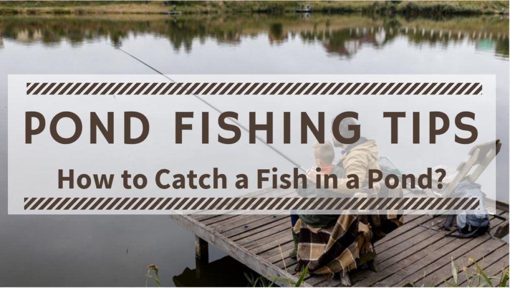 Pond Fishing Tips