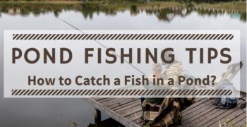 Pond Fishing Tips – How to Catch a Fish in a Pond