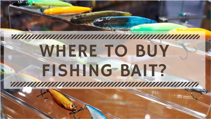 Where to Buy Fishing Bait