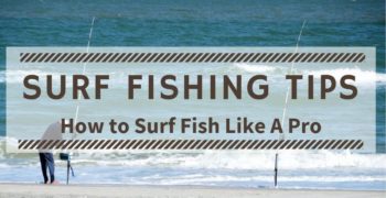 Surf Fishing Tips – How to Surf Fish Like A Pro