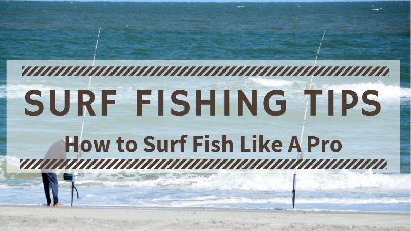 Surf Fishing Tips