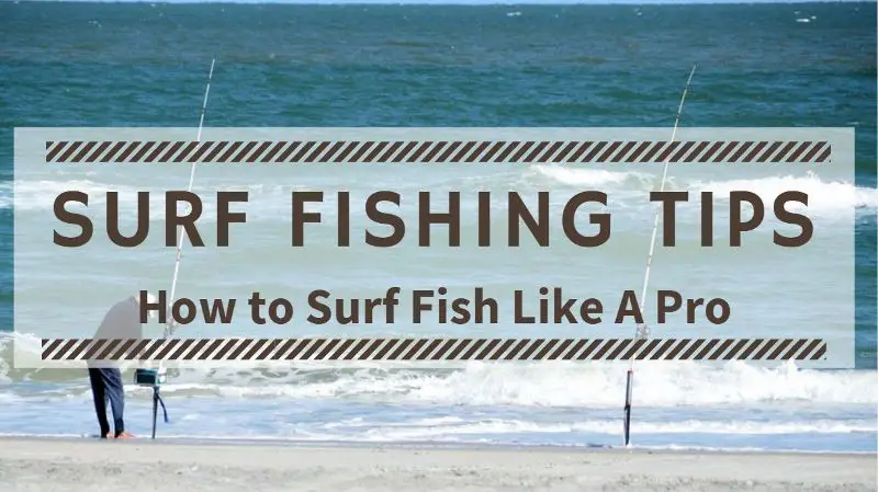 Surf Fishing Tips. Shore Fishing Tips. Surf Fishing Techniques.