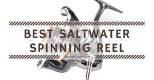 Best Saltwater Spinning Reel Under 200