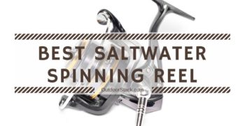12 Best Saltwater Spinning Reels Under $200