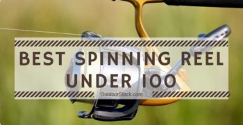Best Spinning Reel Under 100