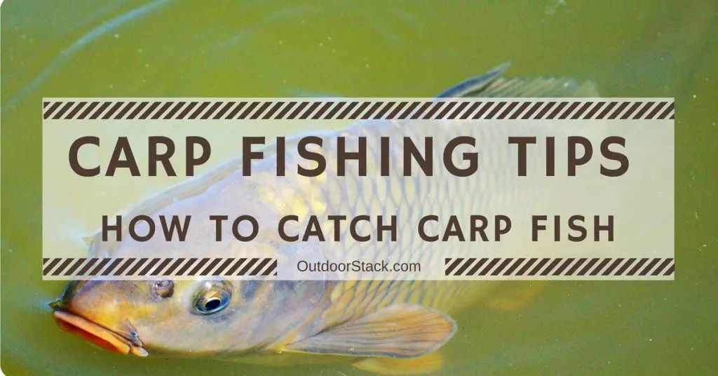 Carp Fishing Tips. Carp Fishing Tips for Beginners. How to Catch Carp Fish.