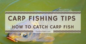Carp Fishing Tips for Beginners – How to Catch Carp Fish