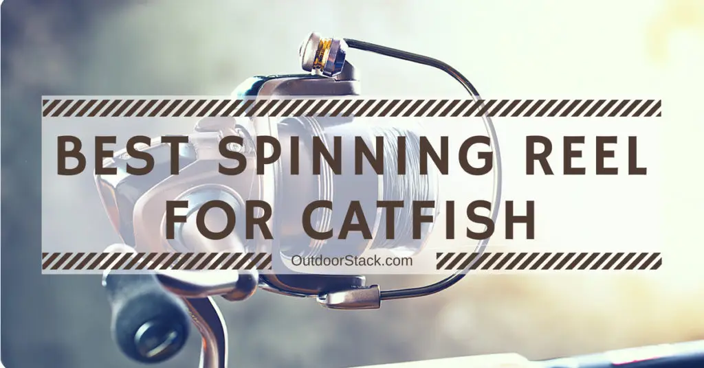 Best Catfish Spinning Reels