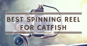 Best Spinning Reel for Catfish