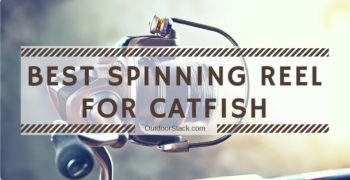 5 Best Catfish Spinning Reel Reviews