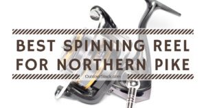 Best Spinning Reel for Northern Pike