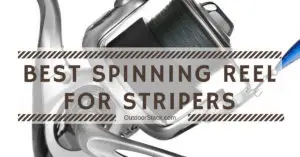 Best Spinning Reel for Stripers