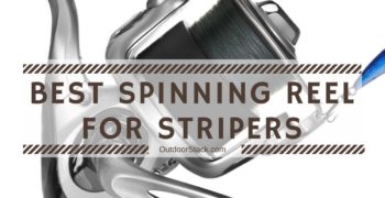 Best Spinning Reel for Stripers