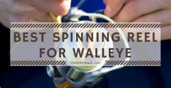 Best Spinning Reel for Walleye