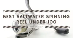 Best Saltwater Spinning Reels Under 100