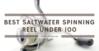 9 Best Saltwater Spinning Reel Under 100 – Top Picks of 2022