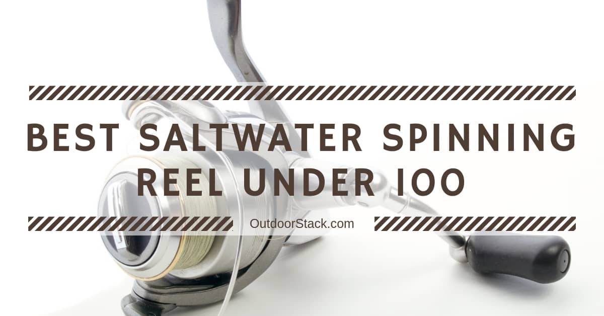 You are currently viewing 9 Best Saltwater Spinning Reel Under 100 – Top Picks of 2022