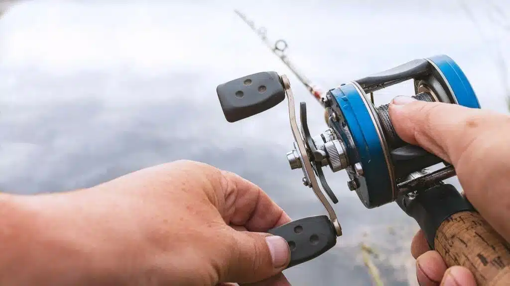 Best Baitcasting Reel for Salmon Fishing