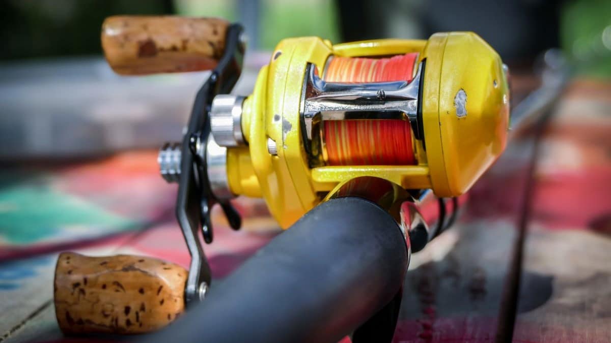 14 Best Baitcasting Reel for Steelhead Fishing (April 2024)