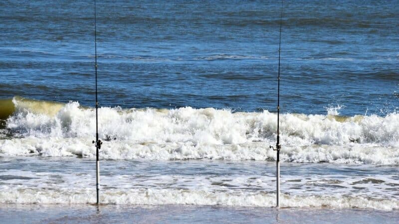 8 Best Surf Fishing Rods of 2026 [Reviews and Buying Guide]
